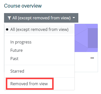 Removed from view list item